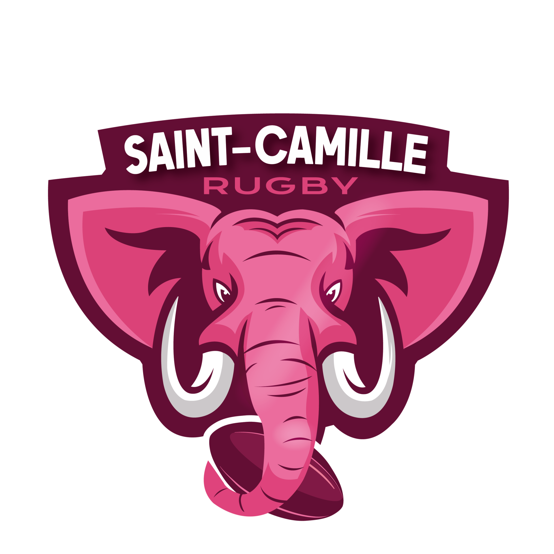 Les éléphants de Saint Camille